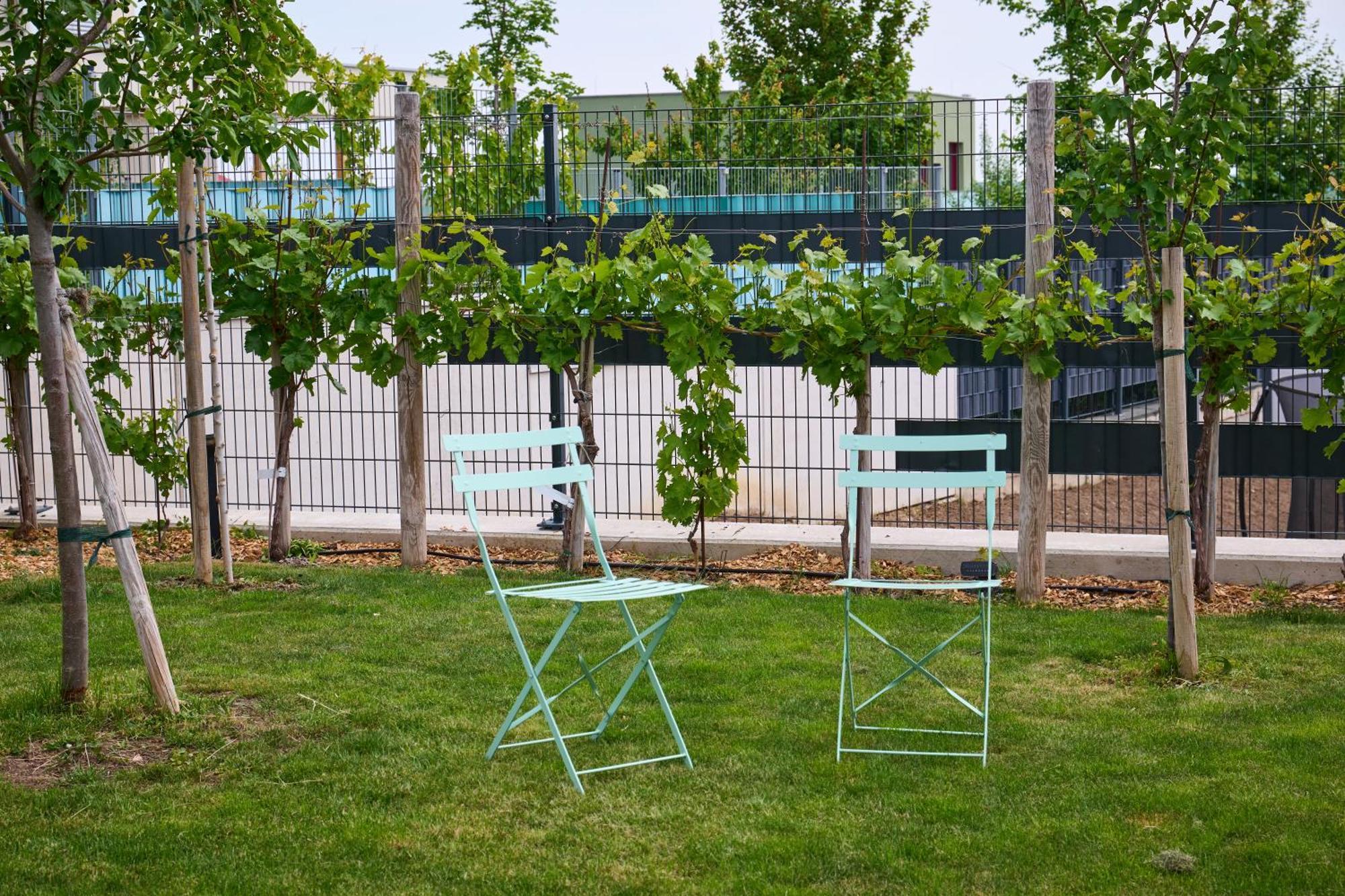 Apartments Vineyard19 Рец Екстер'єр фото