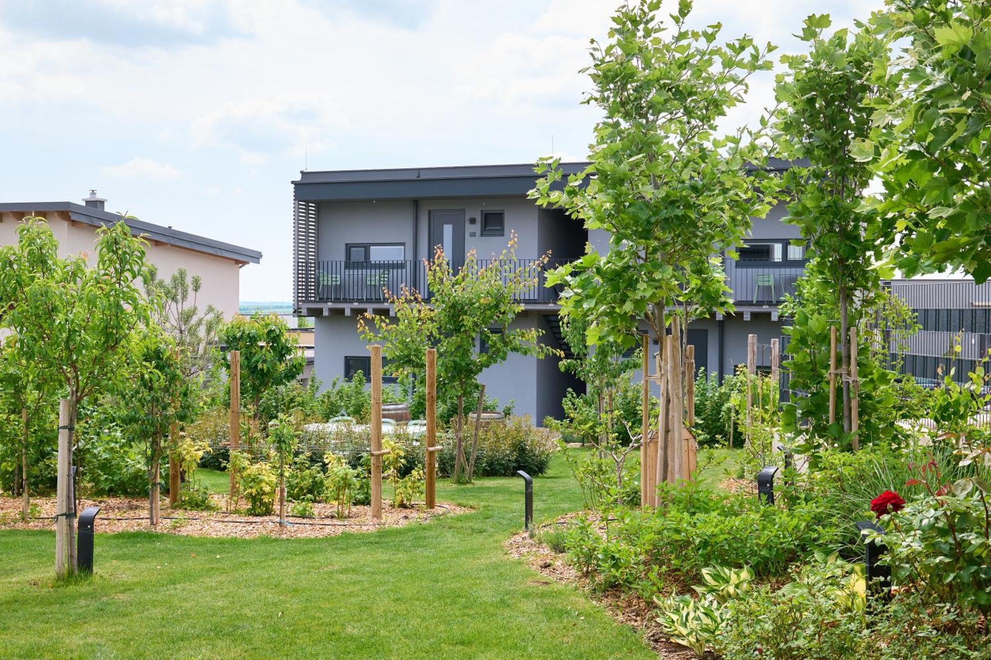 Apartments Vineyard19 Рец Екстер'єр фото